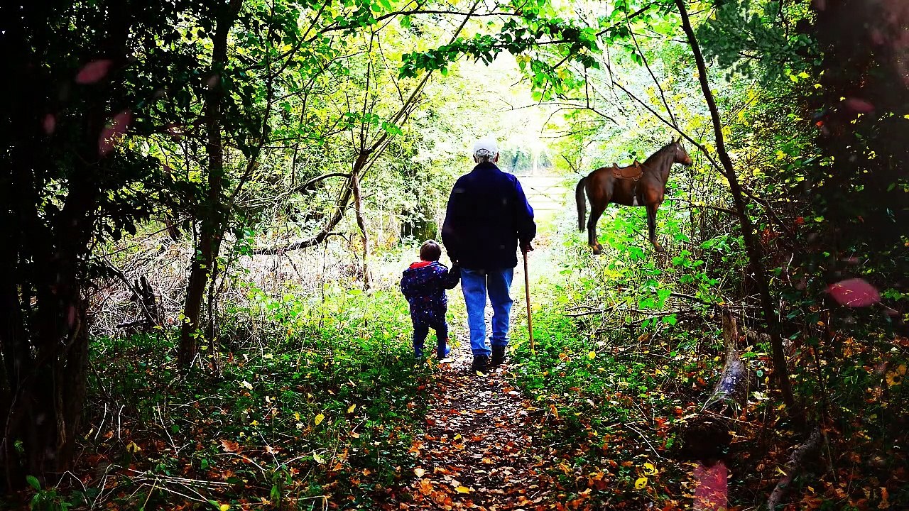 Understanding a Healthy Lifestyle