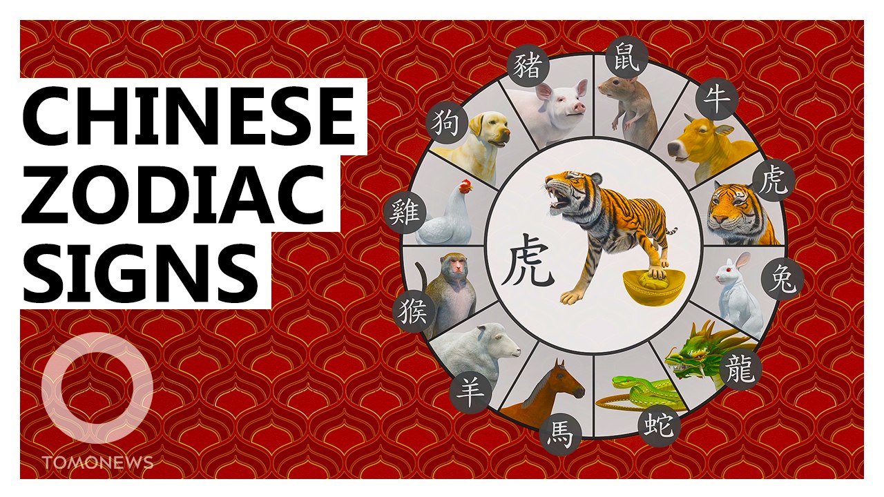 Chinese zodiac signs explained