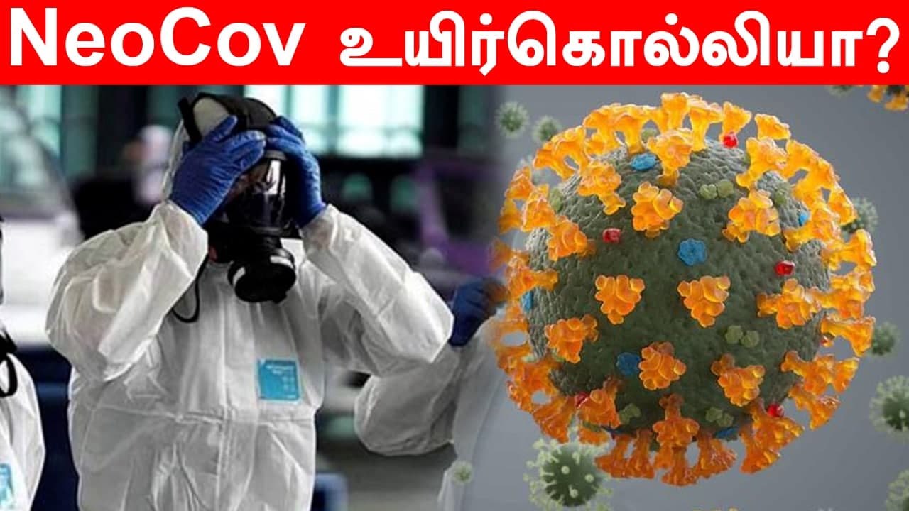NeoCov எப்படிப்பட்டது?  |  Data Analyst Vijayanand | Oneindia Tamil