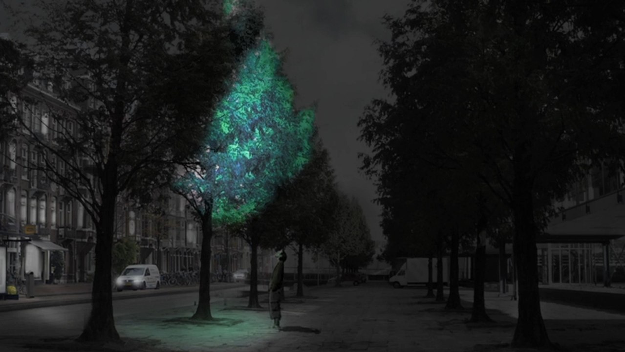 Et si des arbres bioluminescents remplaçaient l'éclairage public ?