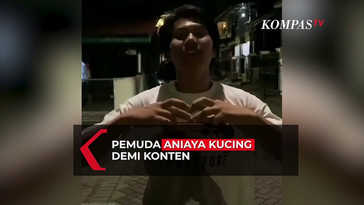 Viral! Pria Tendang Kucing untuk Konten Media Sosial