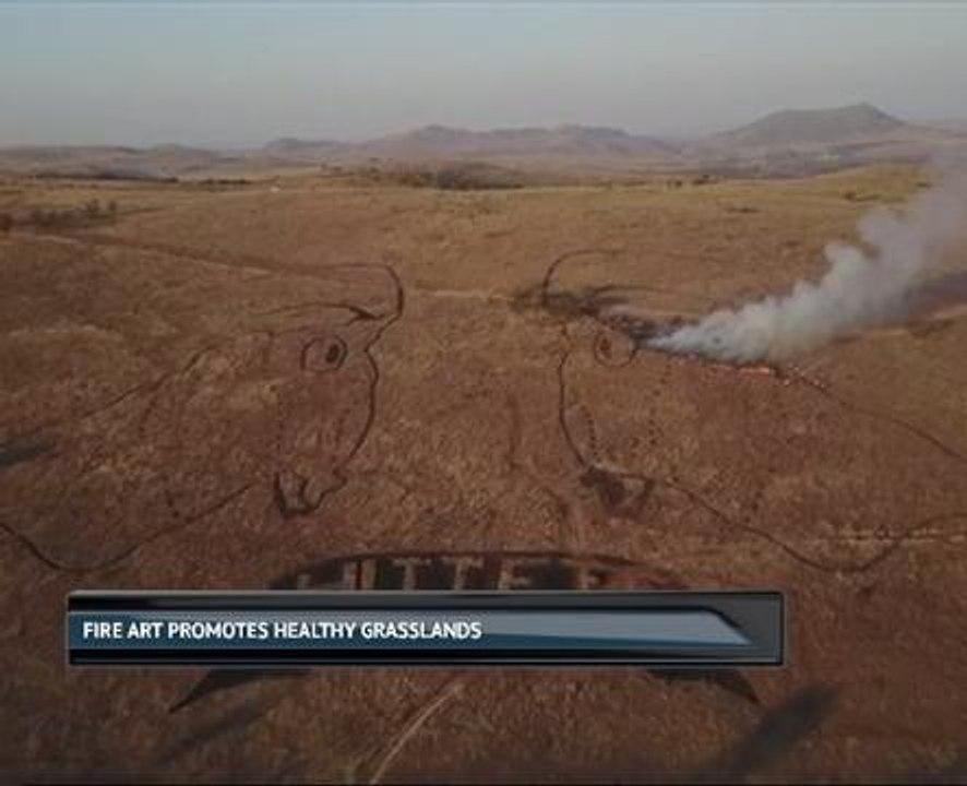 Fire art promotes healthy grasslands