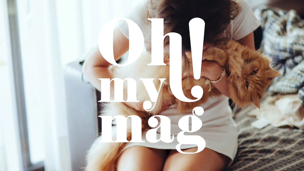 Die Körpersprache deiner Katze schnell erklärt