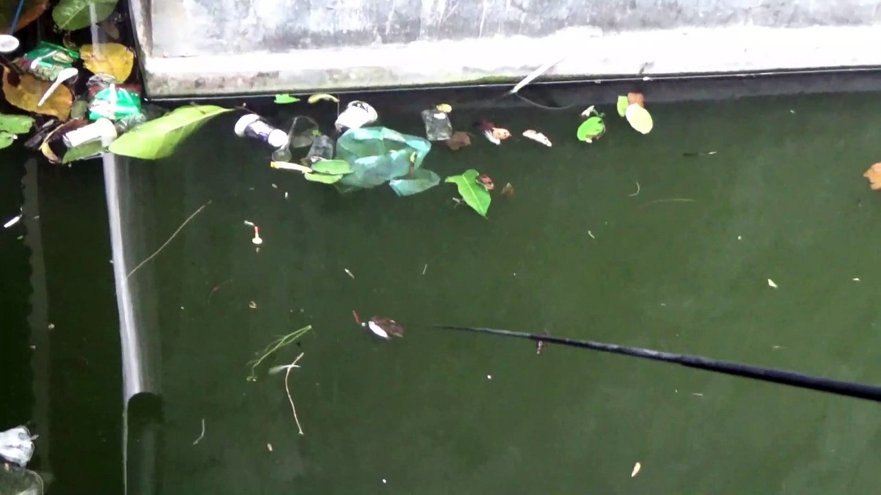 BOCIL MANCING - BAPAKNYA BOCIL STRIKE TERUS