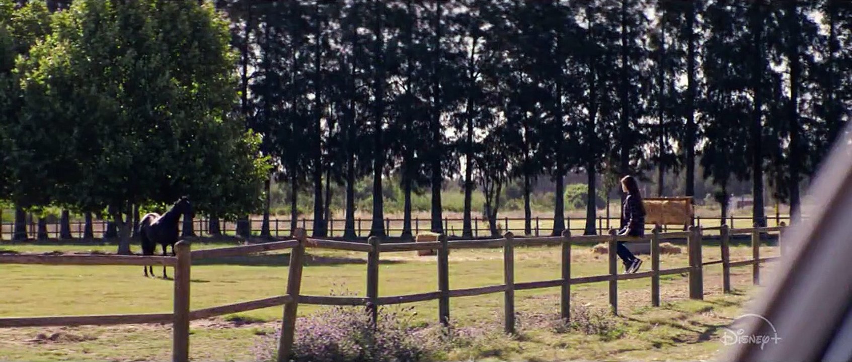 Beleza Negra: Uma Amizade Verdadeira Trailer Dublado