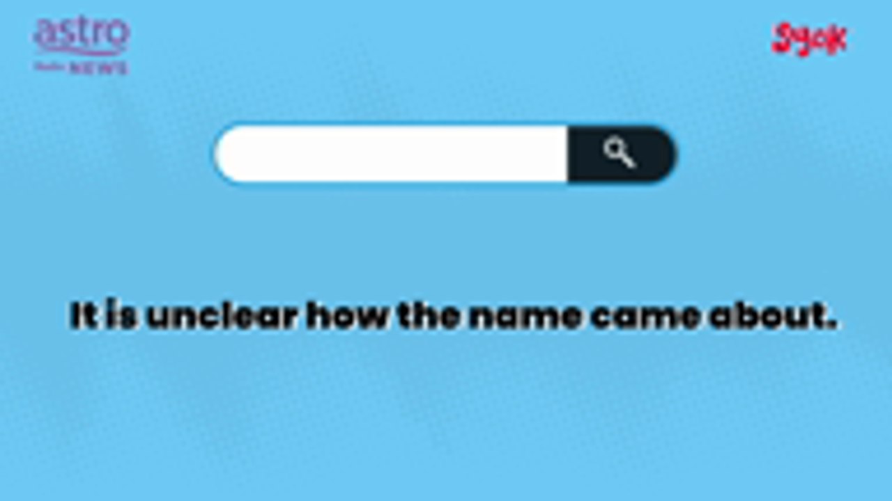 Types of Macau Scams