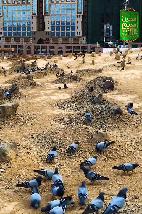 Naatshareef Koi Lafzon Me Kaise | Naat Shareef |