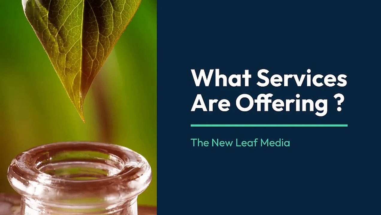 What Services Are Offering ? | The New Leaf Media