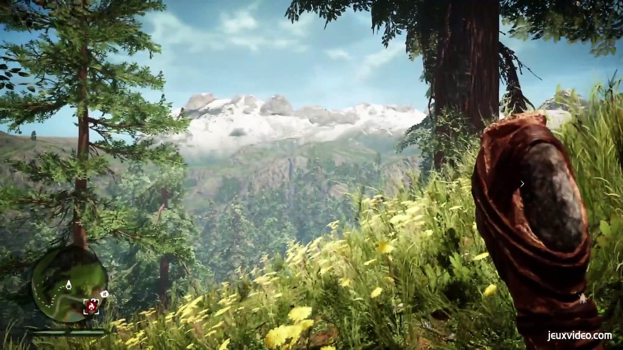 Vidéo test Far Cry Primal