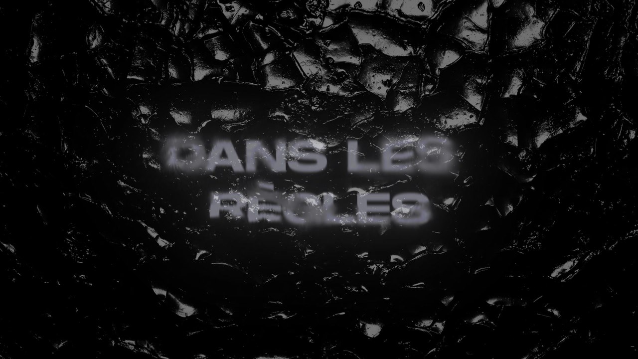 Ziak - Dans les règles