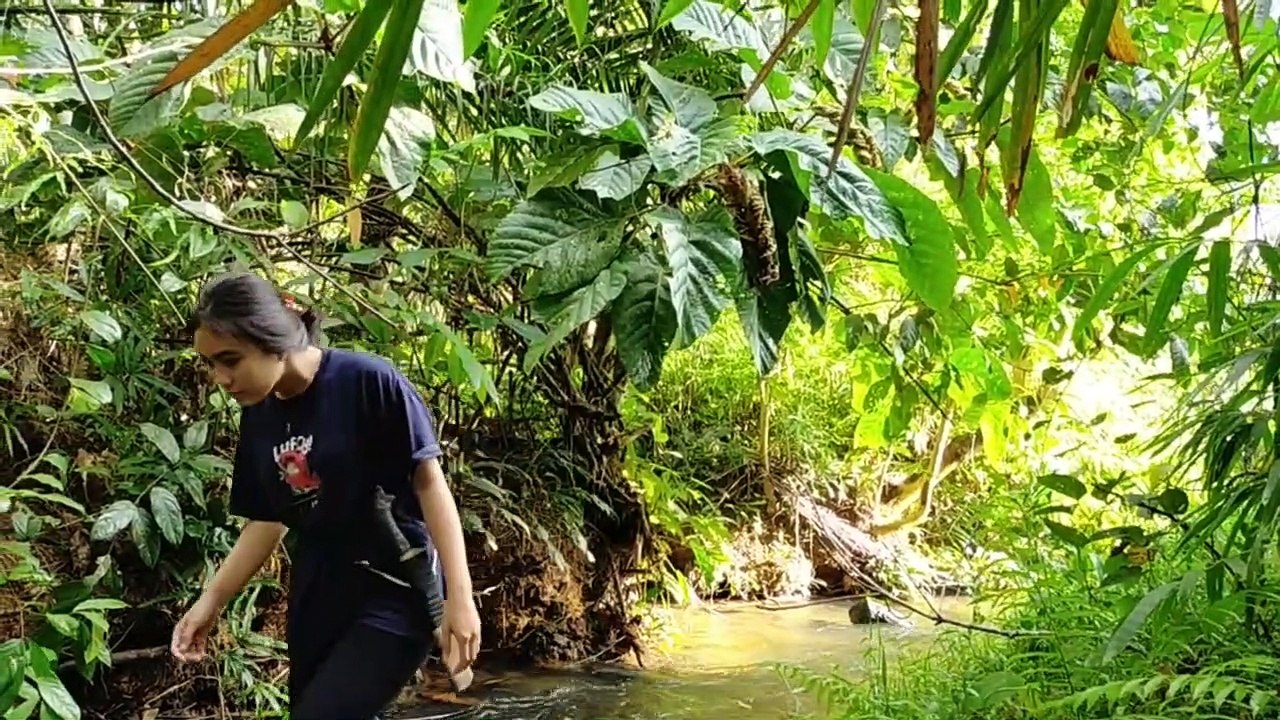CARA GADIS DAYAK MENANGKAP KEPITING DI SUNGAI