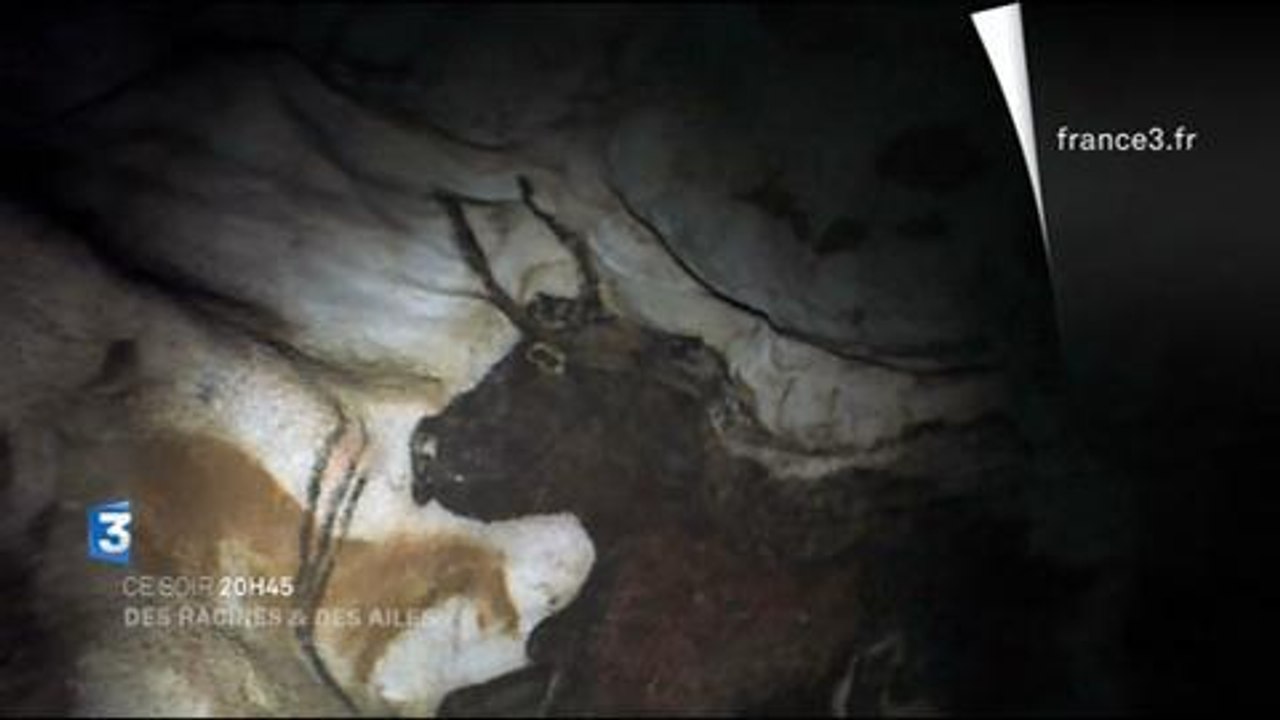 Des racines et des ailes (France 3) 25 juin 2014