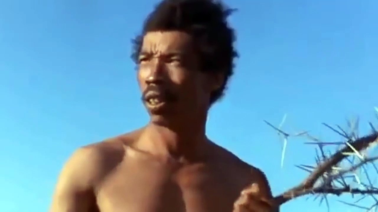 Nobel Massa Aborigines throw himself between  Hyenas And Baboon  jaws to save this  poor Ostrich