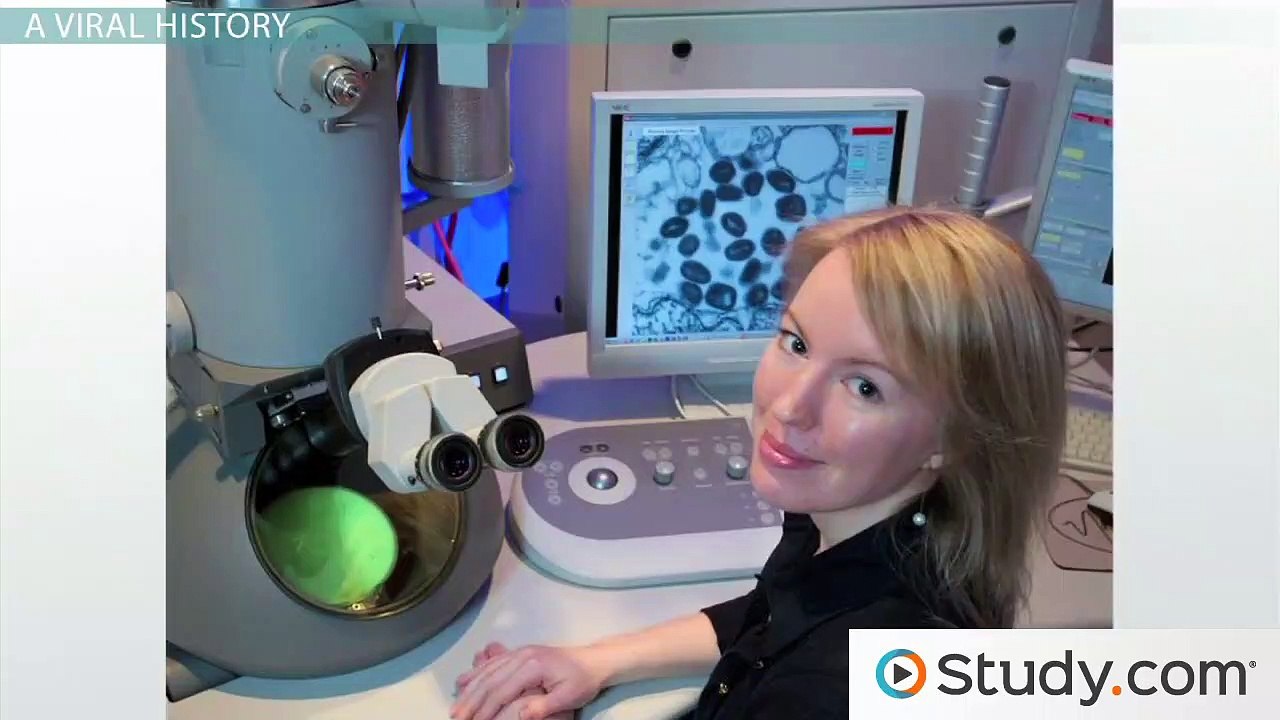 What Are Viruses- - Definition, Structure & Function