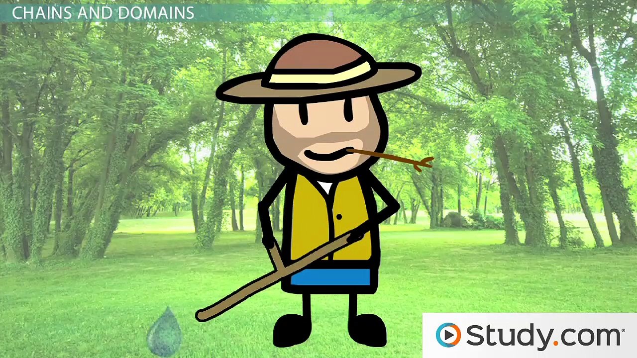 Antibodies- Their Important Structure