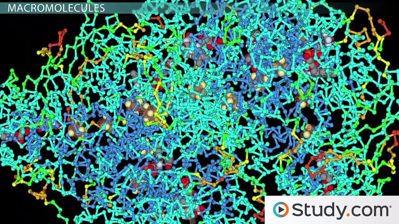 Intramolecular Bonding and Identification of Organic and Inorganic Macromolecules