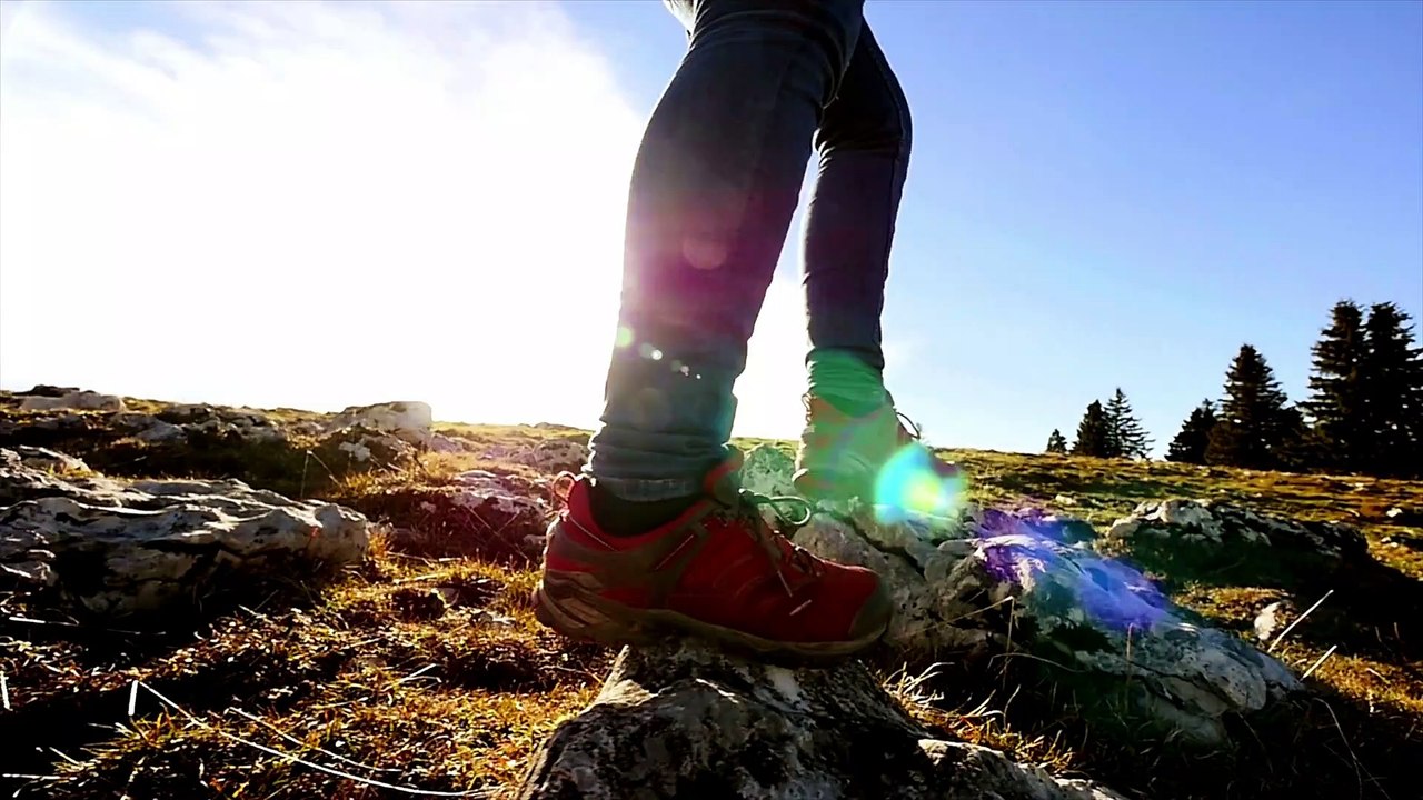 how health and wellness affects your life