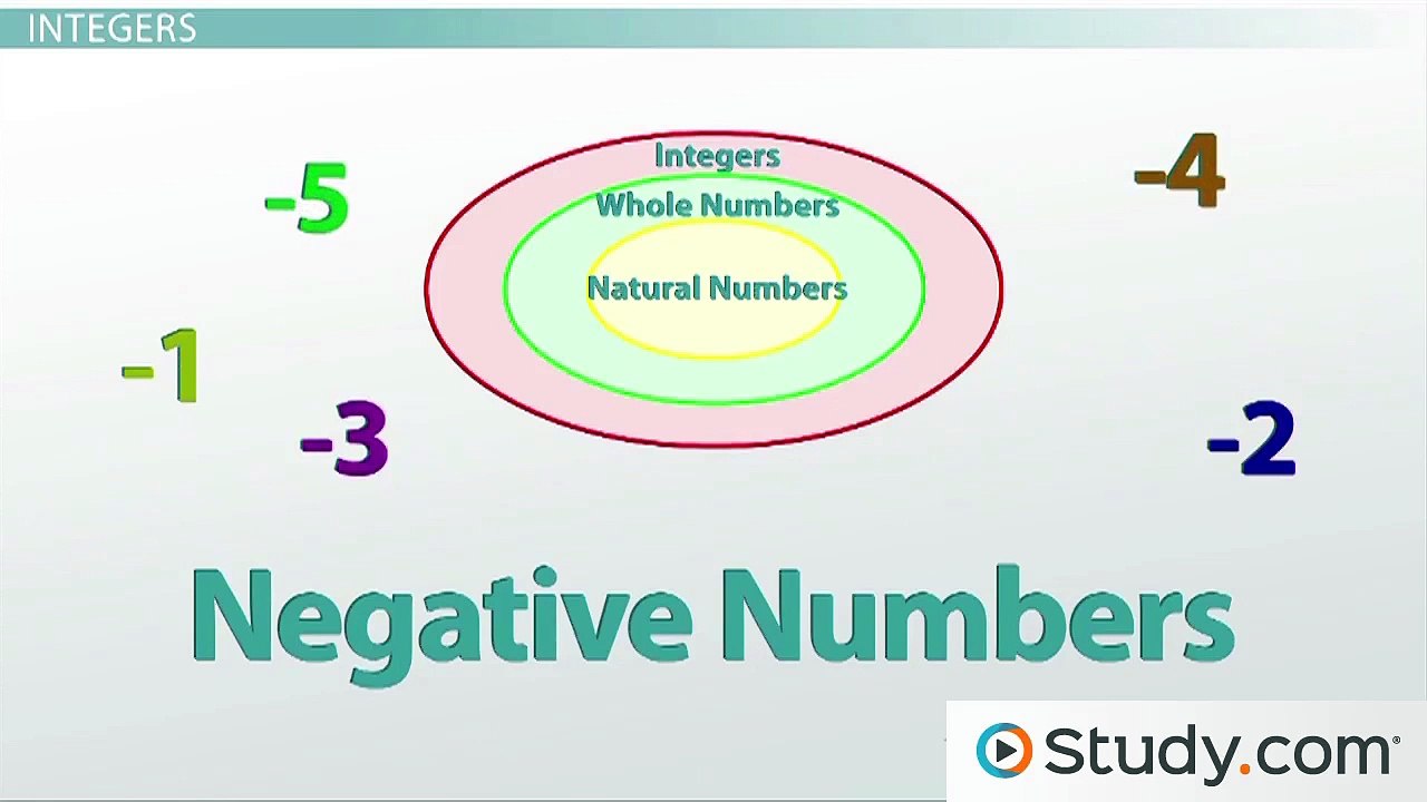 What are the Different Types of Numbers