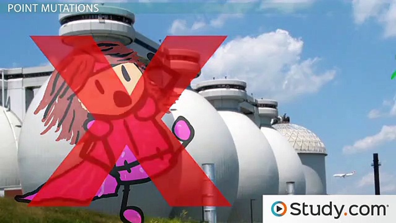 What is a Point Mutation- - Definition, Causes & Types