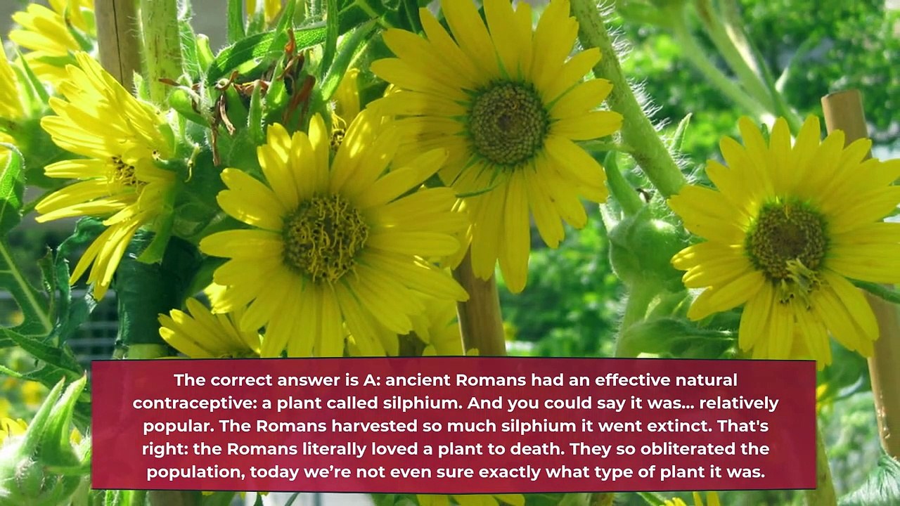 Facts Quiz_ Can You Pass This Bizarre History Quiz?