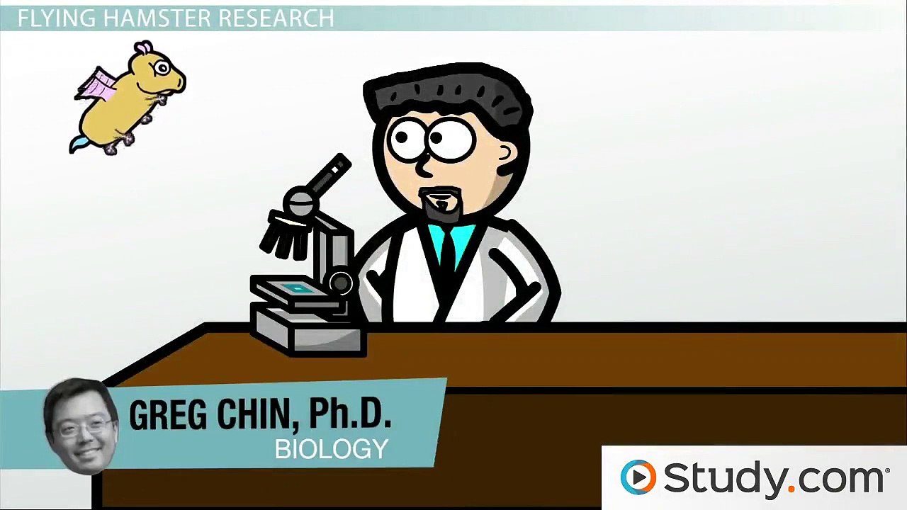Understanding the Properties of Alleles 🧬