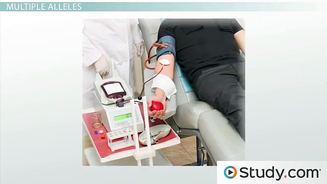 Exceptions to Simple Dominance- Codominance and Incomplete Dominance -