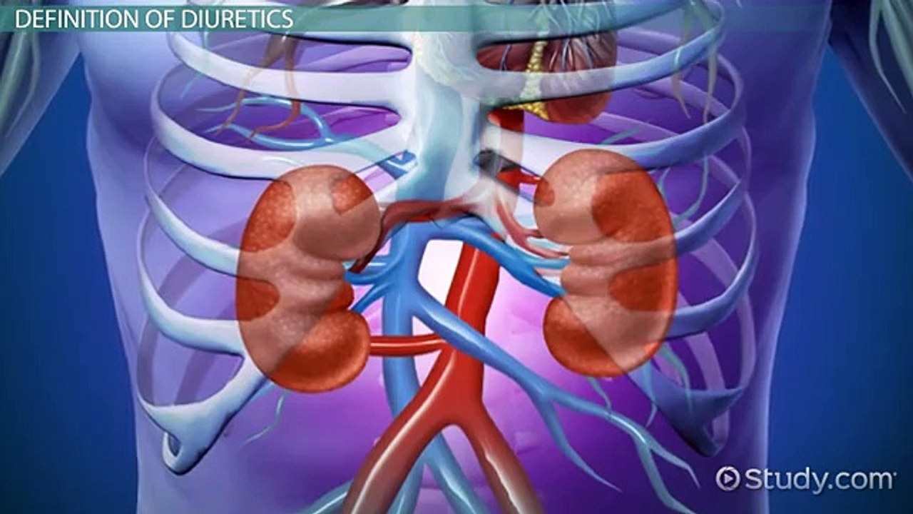 What Are Diuretics- - Definition, Types, Side Effects & Examples -