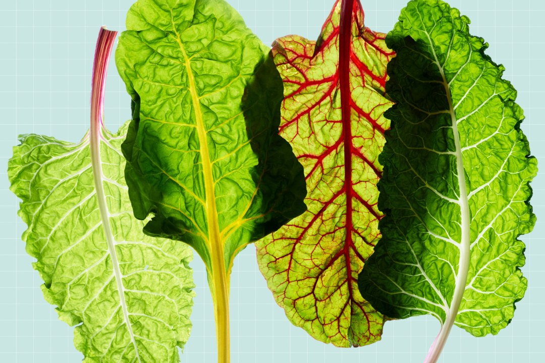 What Is Chard?