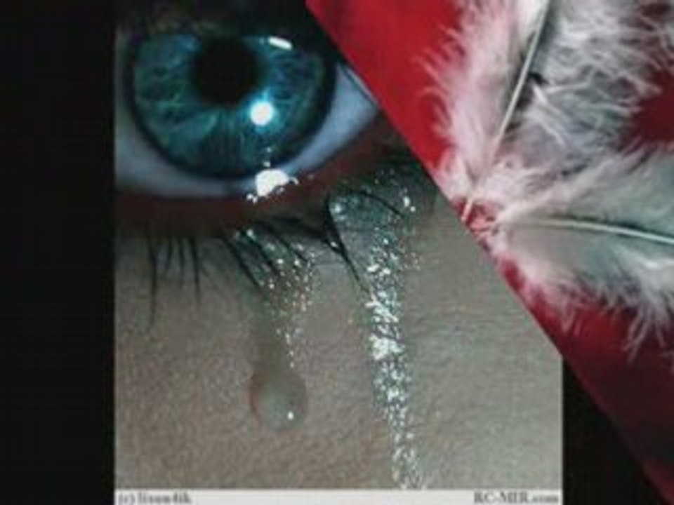 Мой рай    Максим