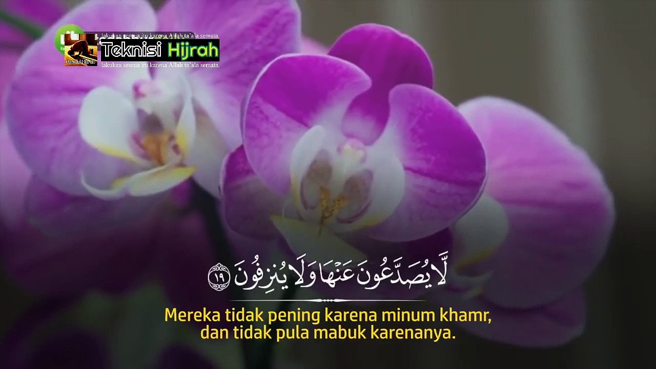 Al-Waaqi'ah l Ar-Rahman l Al-Kahfi - Zain Abu Kautsar