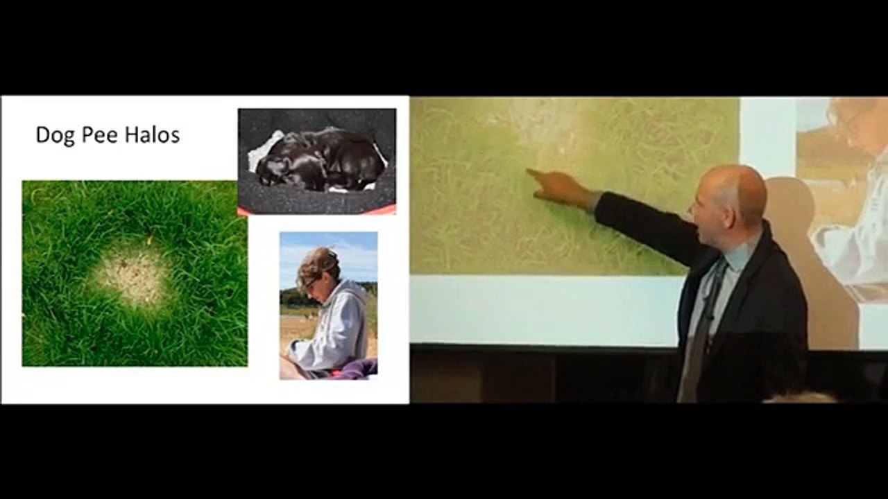 Nitrogen and Climate Change explained