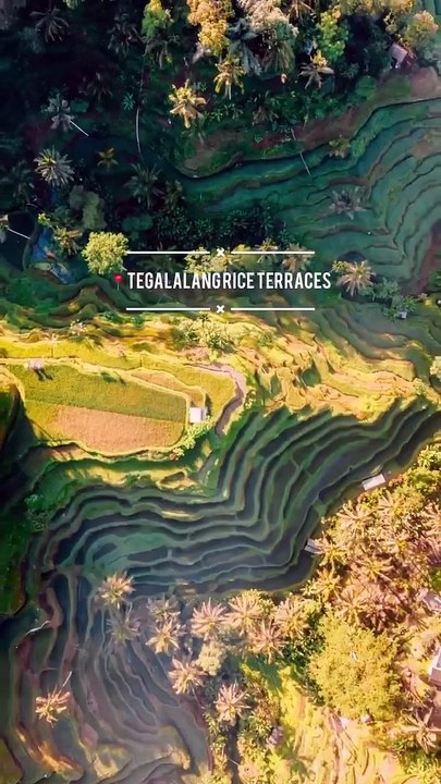 Travel Destinations in bali