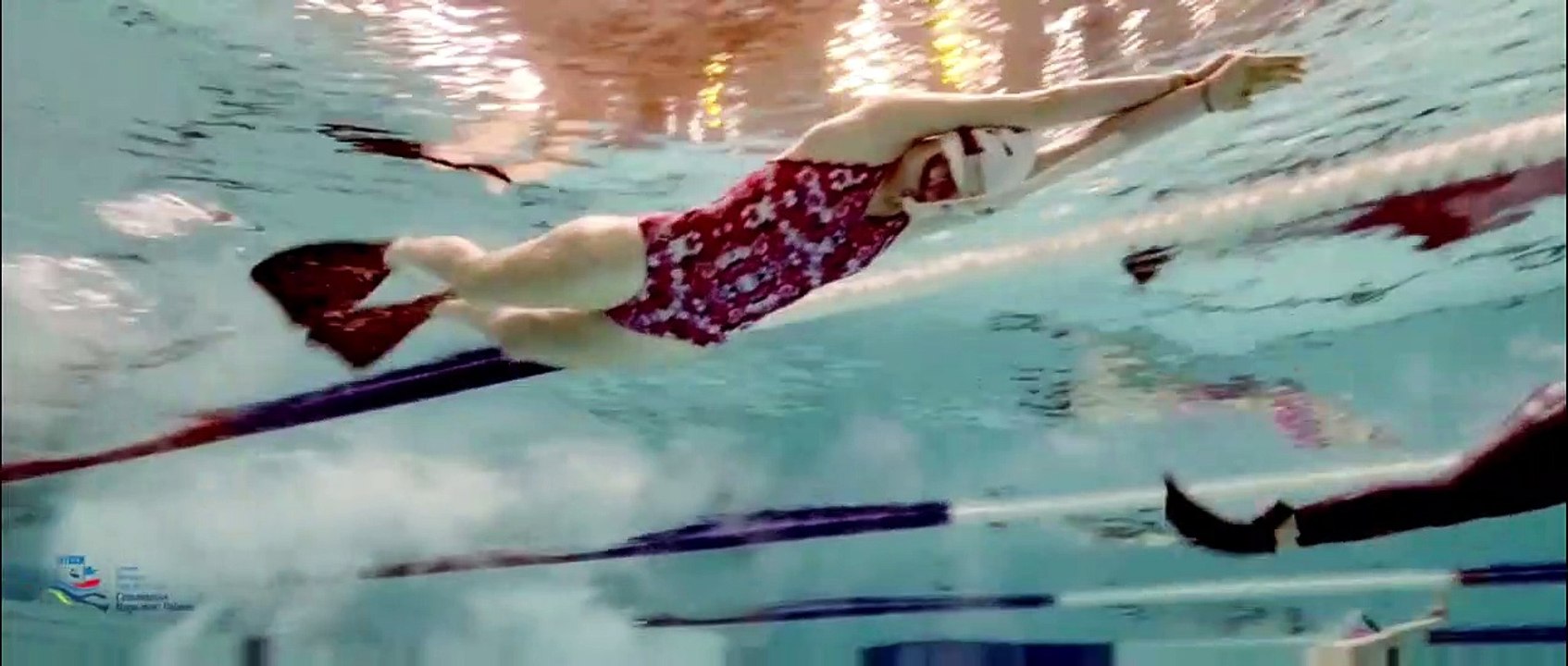 Découverte de la nage avec palmes au Plongée Club 🌊
