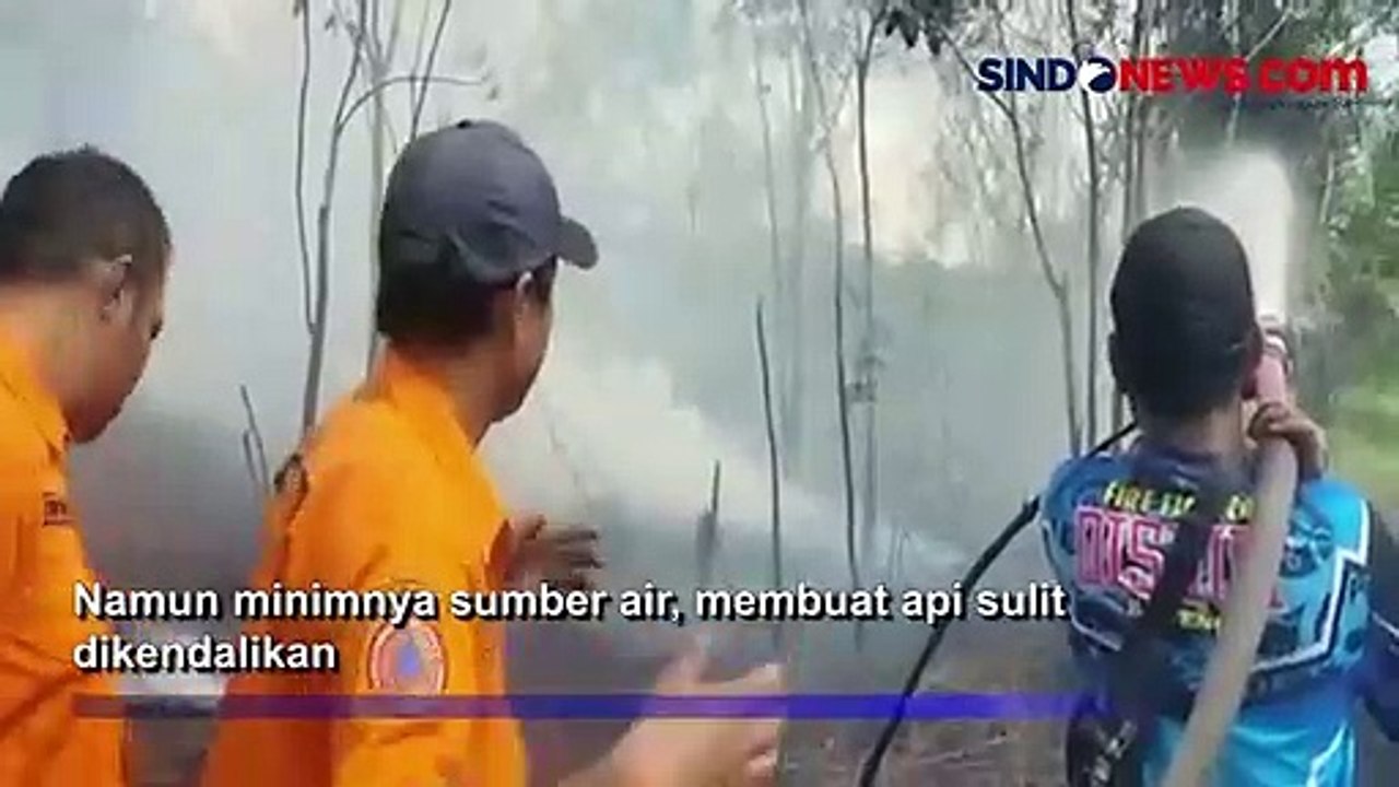 3 Hektare Lahan Terbakar di Katingan Hilir, Pemadaman Terkendala Sulitnya Air