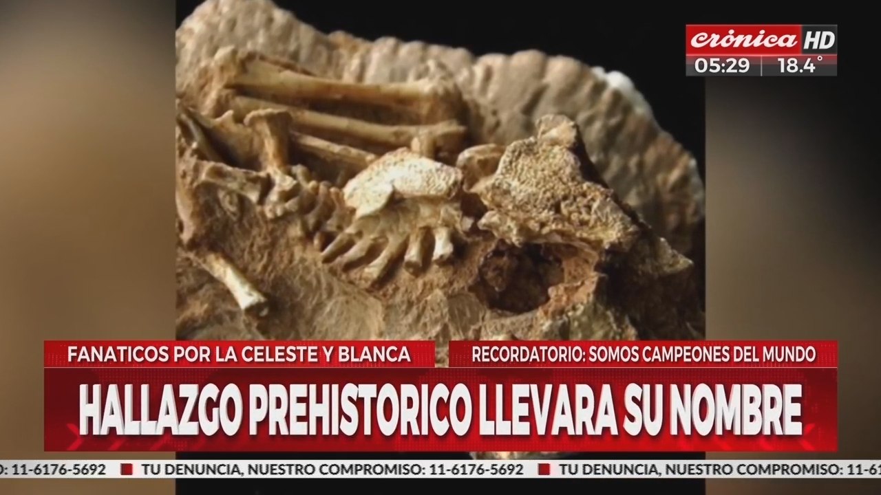 Hallazgo prehistórico llevará el nombre... ¡del "Dibu" Martínez!