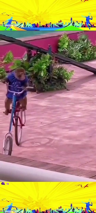 funny monkey cycling video #funnyreels #funnyreelsvideo #funnyvideos #funnyvideosdaily #funnyvideo #videolucu