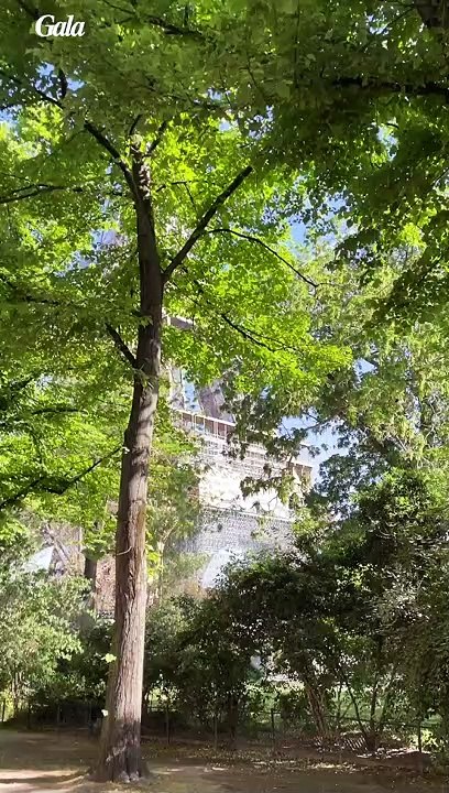 PROGRAMMING LONGINES