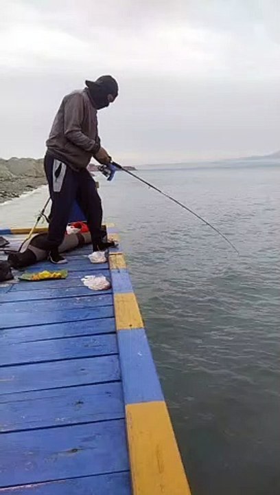 Macing kecil-kecilan