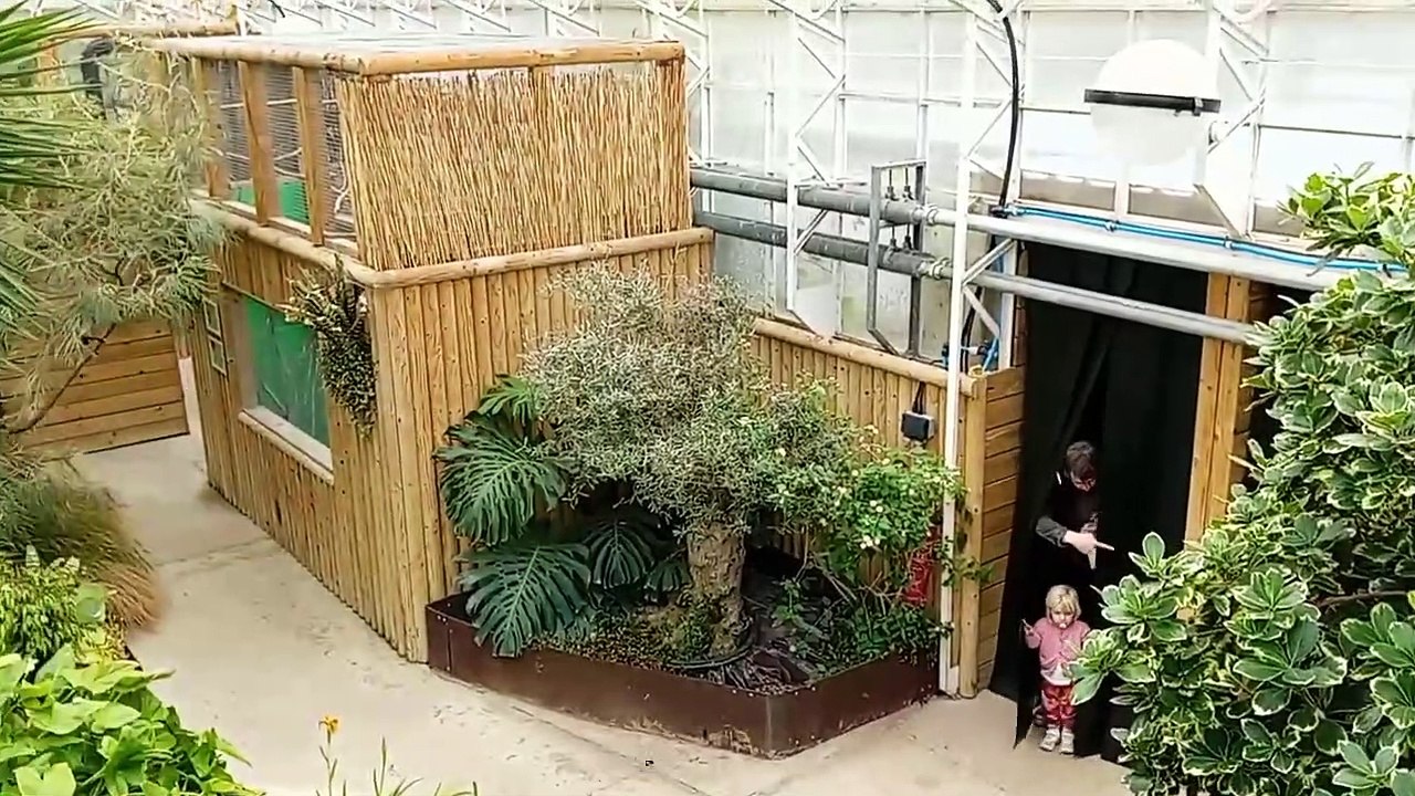 Tropical paradise Woodside Wildlife Park Lincoln