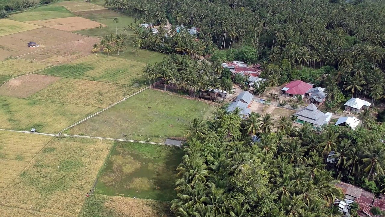 alam pedesaan, alam persawahan