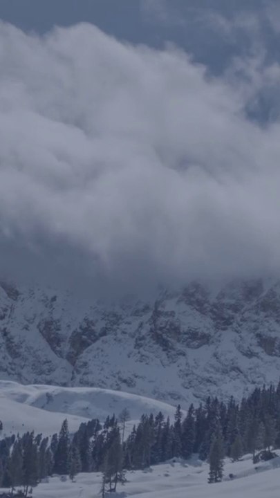 Insights on Worldly Life 🌍