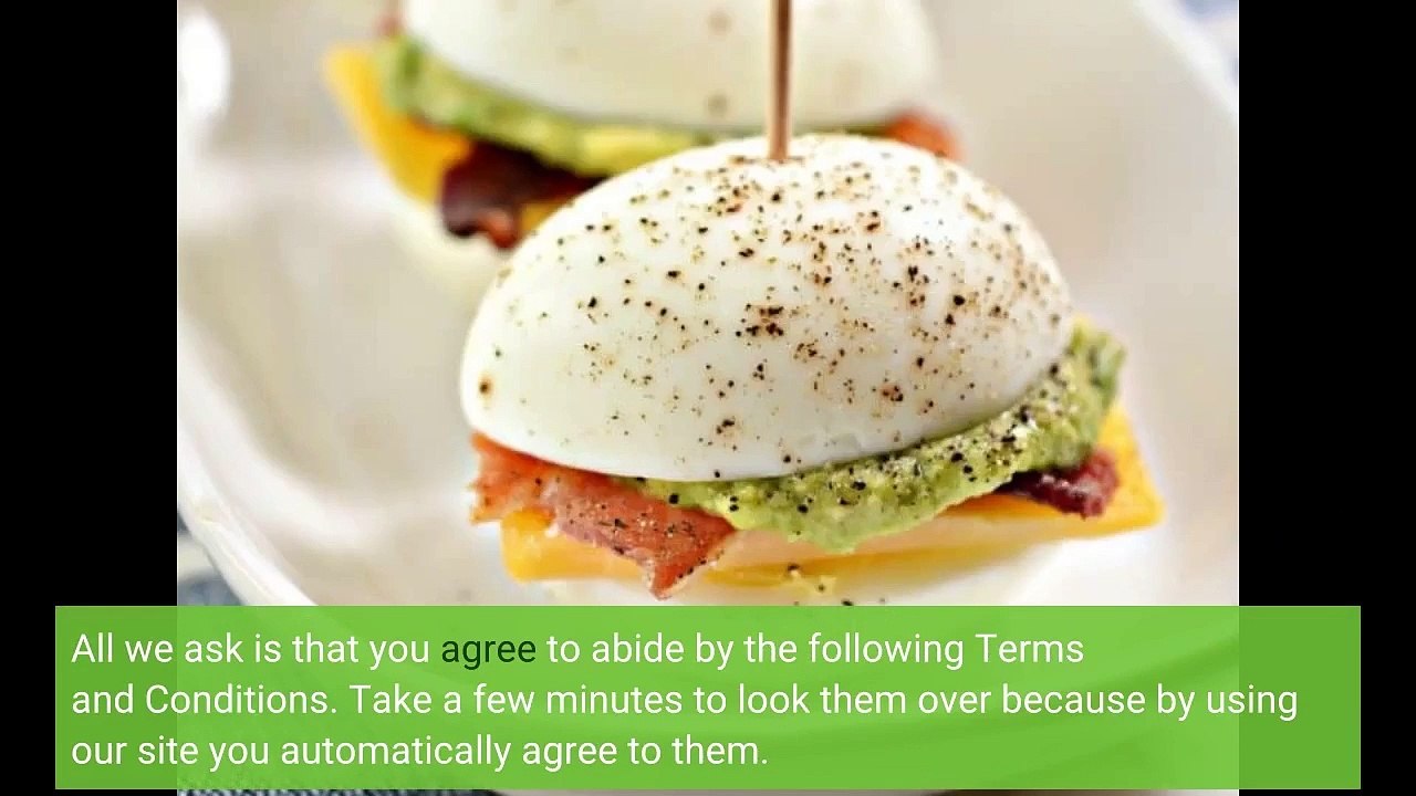 Keto Plan Terms of Use 🥑