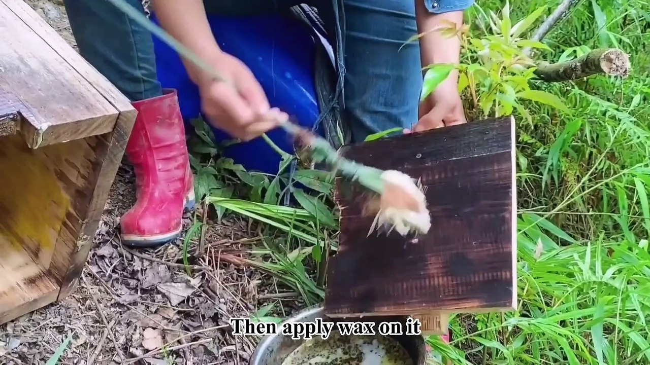 Genius Girl Harvests RAW HONEY Under Siege of Bees-Linguoer
