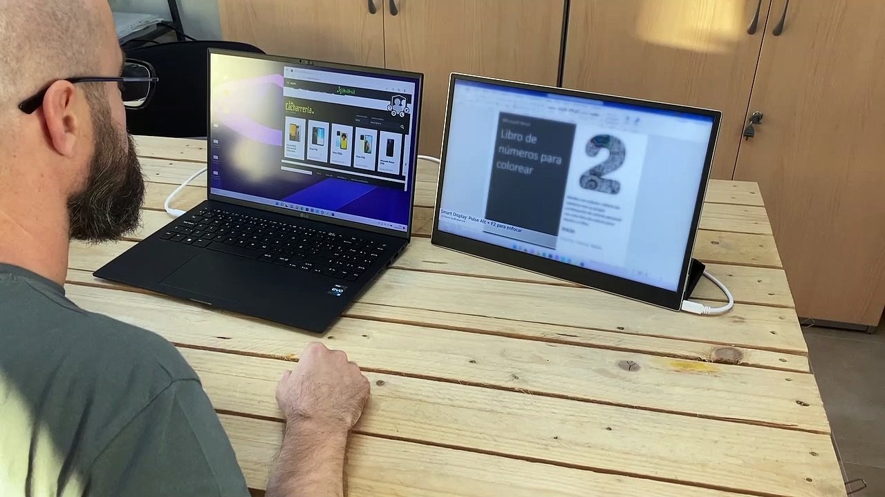 Cómo funciona pantalla externa LG+View