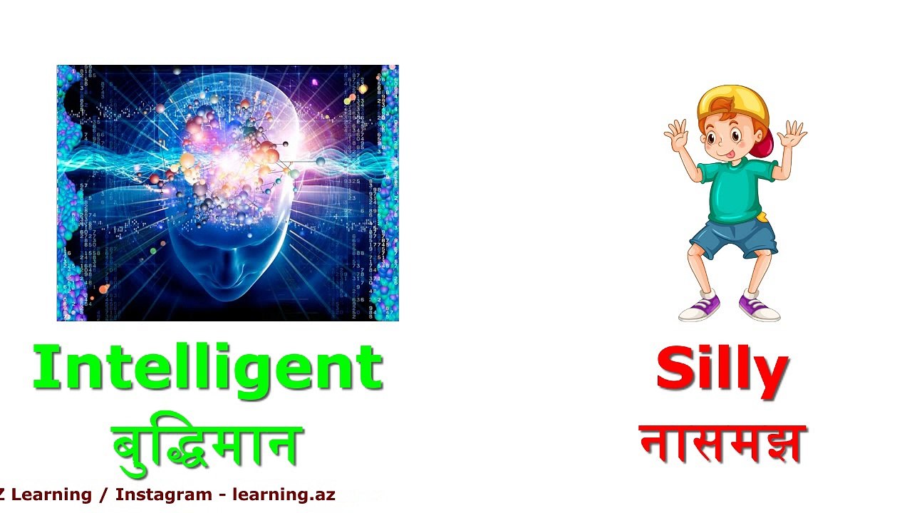 50 Opposite Words Hindi And English With Picture | Hindi And English Opposite Words