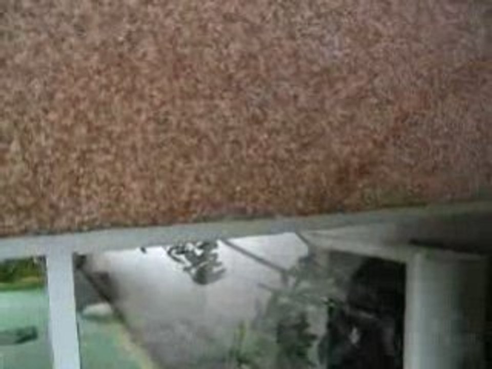 calcul d'algorithme de horner 9999