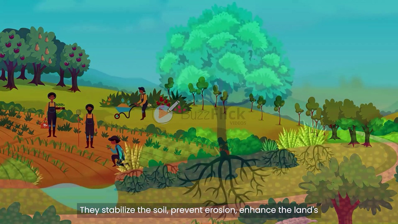 BuzzFlick | Explainer Video | Food Nature and Climate