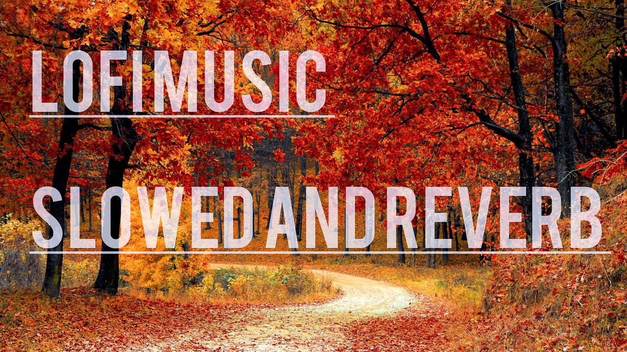 Lofi songs//best lofi songs