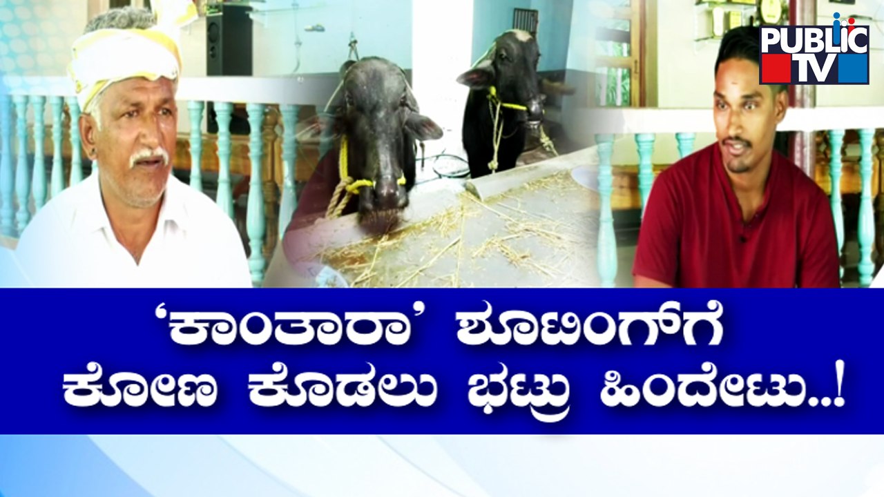 ಸಿನಿಮಾಗಾಗಿ 1 ತಿಂಗಳು ಕೋಣ ಪಳಗಿಸಿದ್ದ ರಿಷಬ್ ಶೆಟ್ಟಿ | Rishab Shetty | Kantara | Public TV