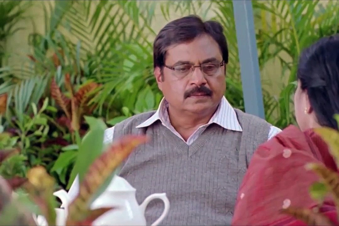 Top Hindi Movies to Watch 🎬